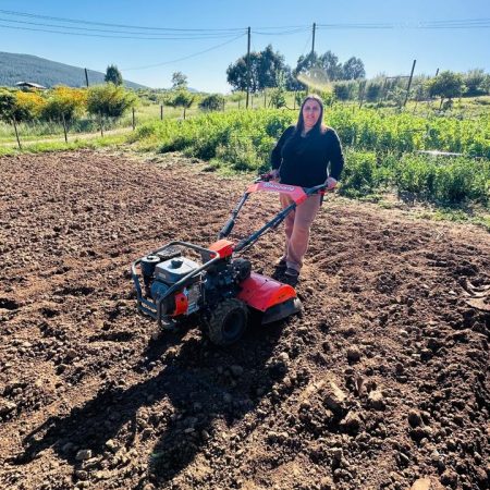 Proyecto Motocultivador