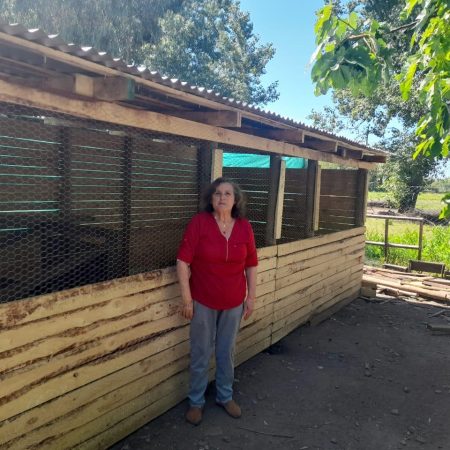 Proyecto gallinero Oficina Agricola
